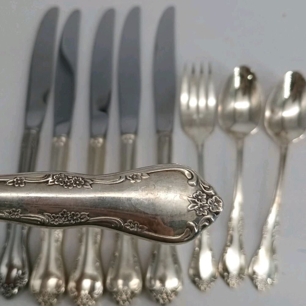 10X Tbsp Oneida Wm Rogers Mansfield Amadeus Table Spoons Fork Teaspoon Stainless